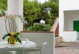 Vieste Residence Gallo Con Piscina - 1