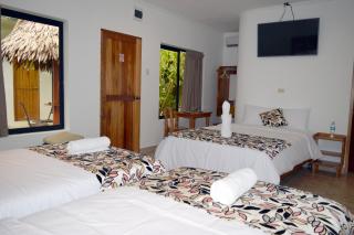 Hotel Jungle House - Iquitos - 2