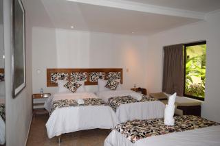 Hotel Jungle House - Iquitos - 3