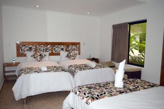Hotel Jungle House - Iquitos - 9