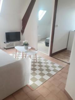 Bel appartement à 15 minutes d'Orly et de Paris - 5