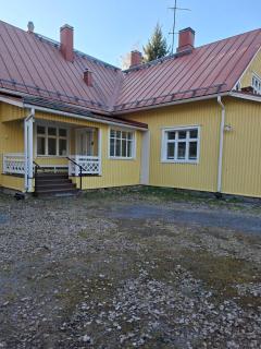 Keltasirkku - 5