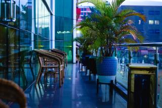 The Grand Plaza Hotel - 8