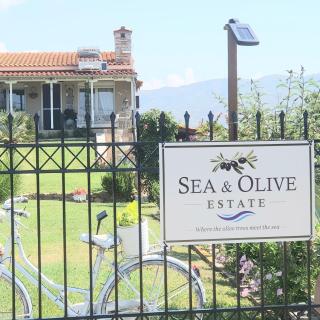 Sea & Olive Estate - 7