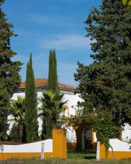 Cortijo Negretti - 2