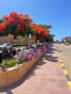 52H Green leaves Village, families & couples only - 8