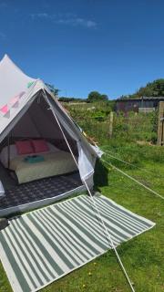 Emilies Bell Tent - 7