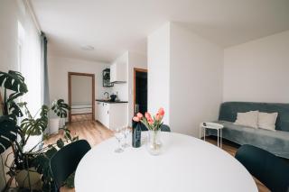 Apartmán ERUDITO Královský vršek Jihlava - 9