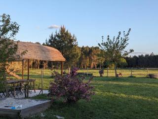 Lucatum – Domaine d'exception avec piscine - 8