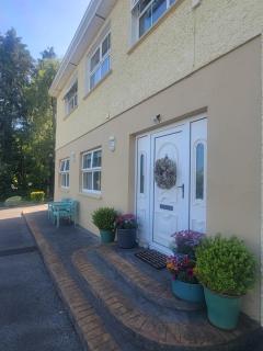 Spring Grove Guesthouse - 3