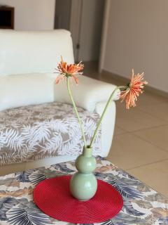 Elysia Park pool view apartment - Paphos - 3