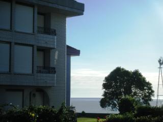 Apartamentos Salceda - 4
