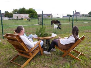 Tiny house familiale à la ferme pédagogique - Spa inclus - 1h30 de Paris - 8