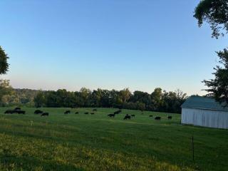 The Hutch - Bardstown - 2