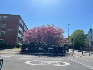 Studio flat in Putney - Super location - 4