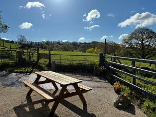 Cefn Farm - Hyssington Heights - 5
