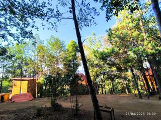 Cabañas en el Bosque de San José del Pacífico 5 - 8