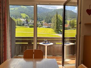 ALPENHOF APARTMENT Bad Kleinkirchheim - 7