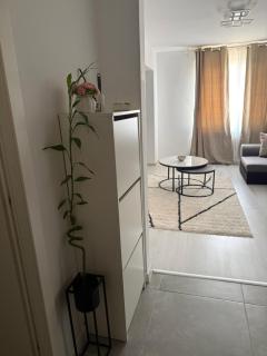 Ultracentral apartament unirii/ centru vechi - 3