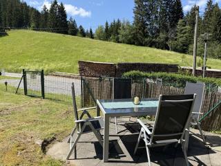 Schwarzwaldhaus Zwink - 2