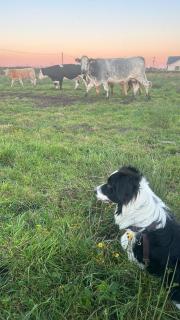 Caherfeenick - 3