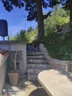 House Silvana - 8