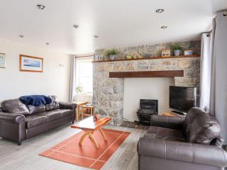 Bodlasan Groes Cottage - 8