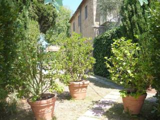Oliveta Falco - 4