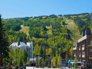 Vantage Point Condo 314 - 0