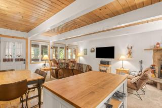 Newly remodeled cabin-style condo near skiing & attractions - dogs welcome - 1