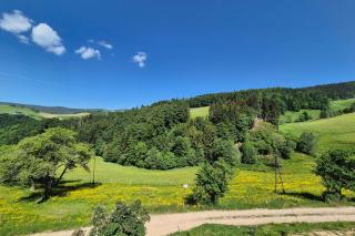 Large house with garden and terrace in Lapoutroie - 0