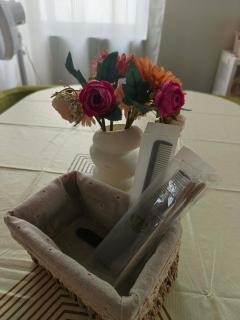 Cozy Whole house for rent Casa Esmeralda, Sto Tomas - 2
