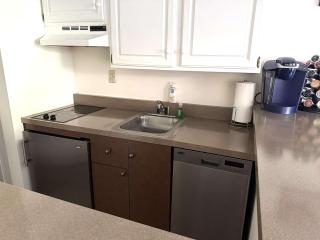 Mountain View Suite Sleeps 4 Ski OnOff Jiminy Peak - 4