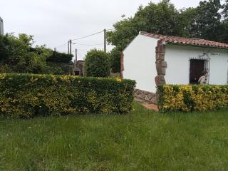 El capricho de la Providencia - 5