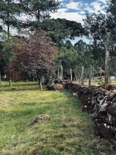 Chácara Vô Aldo - 3