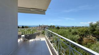 Olive Nest - 5