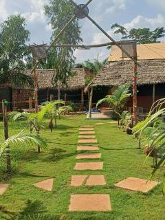 Jedd Palace - 8
