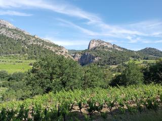 Le Pied-Redon - 1