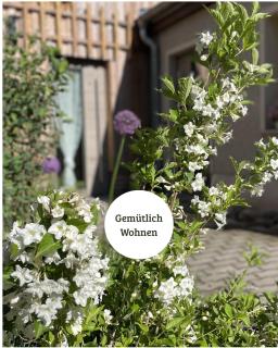 Kochstedter Wohnstuben - Fewo mit Naturbaustoffen in der Bauhausstadt Dessau - hundefreundlich - ebenerdig - mit Garten - Parkplatz inklusive - 0
