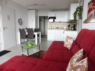 Komfortable Wohnungen und Studio in Sankt Englmar - 5