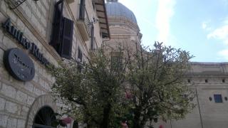 Hotel Porziuncola - Assisi - 2