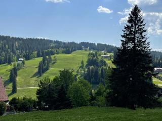Appartement am Feldberg - 0