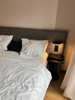 RMZ spacious apartment in Munich - 0