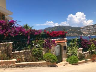 Villa Grande Kalkan - 1