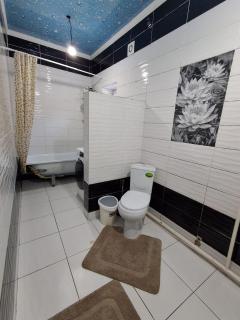Tenis rest house and horse riding tours - 7