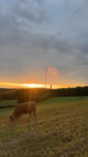 Le Mont Rochard - 4