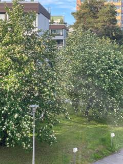 Valtatien residenssi - alkovillinen kaksio - 6