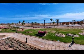 Mesca Oceanfront Villa #SomaBay - 9
