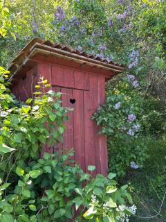 The 19th-century cottage Rosendal, close to nature - 2