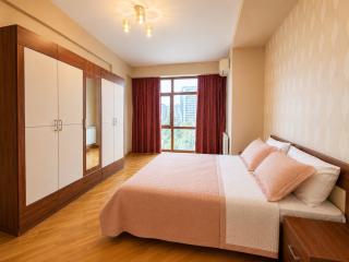 Central Baku Spacious & Comfortable 3BR Apartment - 6